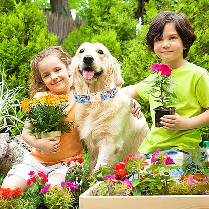Lionheart glory Dog Collar Pink Flower Dogs Collar Spring Summer Cute Collars Dog Girl or Boy Soft Durable Adjustable Dog Collars for Large Dogs Pet Gift