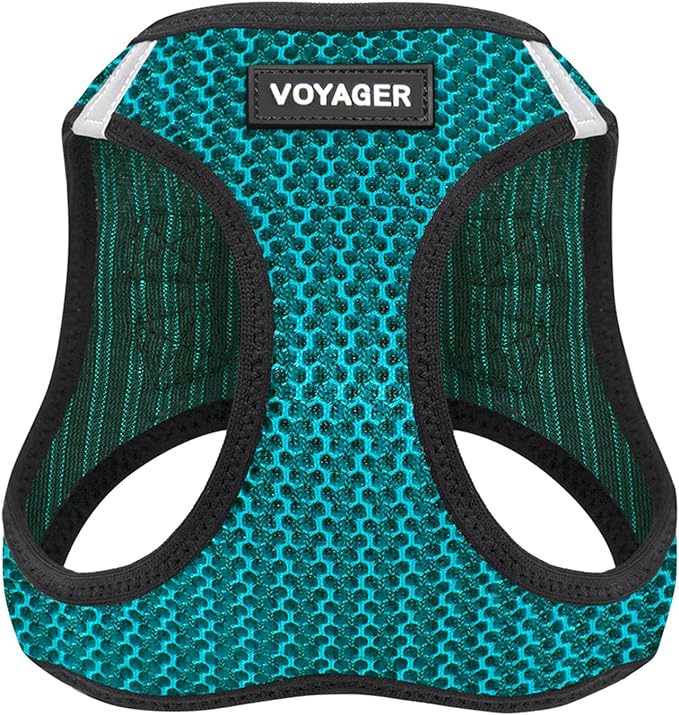 Voyager Step-in Air Dog Harness - All Weather Mesh, Reflective, No Pull Harness for Small, Medium Dogs, Cats - Secure with Hook & Loop Fastener, Buckle, Double D-Rings - Turquoise 2-Tone, XL