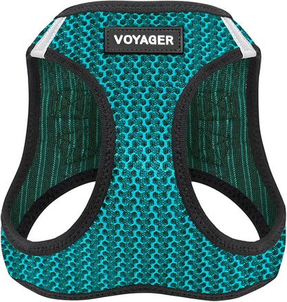 Voyager Step-in Air Dog Harness - All Weather Mesh, Reflective, No Pull Harness for Small, Medium Dogs, Cats - Secure with Hook & Loop Fastener, Buckle, Double D-Rings - Turquoise 2-Tone, S