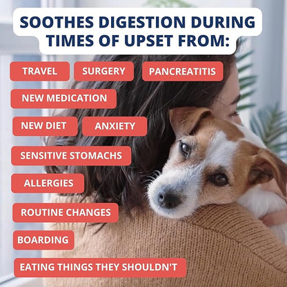 Under the Weather Bland Diet for Dogs | Easy to Digest Stomach Support for Sick Dogs | Contains Electrolytes, All Natural | 6 Pack - Turkey, Oatmeal, Sweet Potato & Slippery Elm for Dogs - 6oz