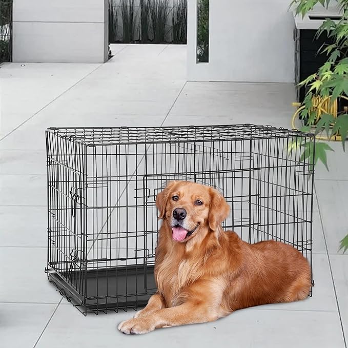 FDW 48 Inch Dog Crate Dog Kennel Cage with Double Door Folding Metal Wire Dog Cage with Removable Tray&Divider Panel for Large Dogs,Black