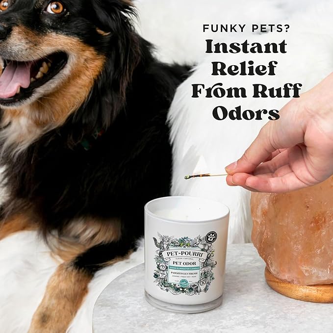 Pet-Pourri Pawsitively Fresh Pet Deodorizer Candle – Pet Safe Plant Based Ingredients & Wax – Vet Approved – Aromatherapy & Air Freshener for Pet Odor – Scented with Pineapple, Jasmine, & Pear