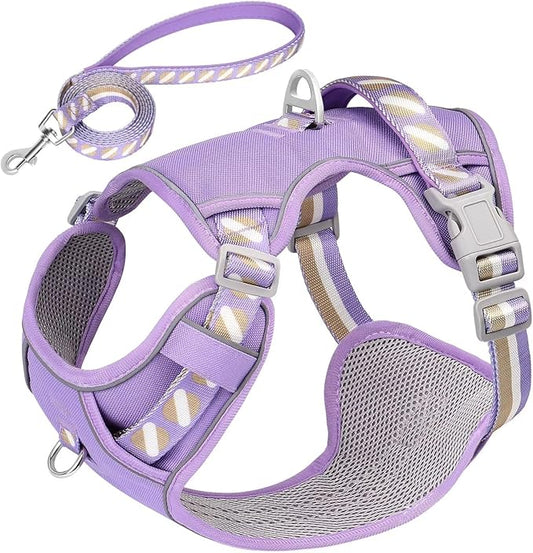 No Pull Dog Harness and Leash Set,Reflective Dog Harness with Easy Control Soft Handle,Adjustable and Comfortable for Easy Walking,Fit Small Medium Large Breed Dogs,Purple,S