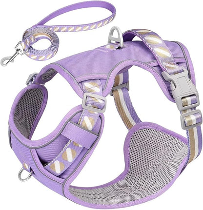 No Pull Dog Harness and Leash Set,Reflective Dog Harness with Easy Control Soft Handle,Adjustable and Comfortable for Easy Walking,Fit Small Medium Large Breed Dogs,Purple,M