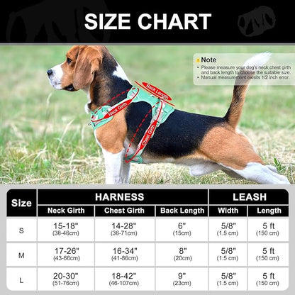 No Pull Dog Harness and Leash Set,Reflective Dog Harness with Easy Control Soft Handle,Adjustable and Comfortable for Easy Walking,Fit Small Medium Large Breed Dogs,Blue,M