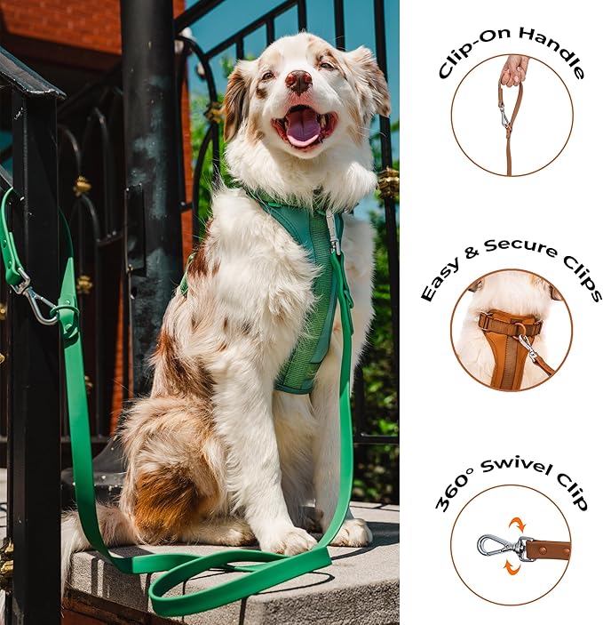 Dog Harness and Leash Set | BearBone No Pull Dog Harness and Waterproof Dog Collar and Leash Set | Heavy Duty Dog Harness, Leash and Collar | Medium Dog Harness, Leash and Collar (Brown, Medium)