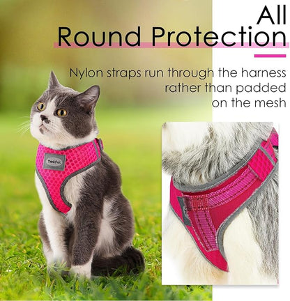 ThinkPet Reflective Breathable Soft Air Mesh No Pull Puppy Choke Free Over Head Vest Harness for Puppy Small Medium Dogs and Cats Rose Red XX-Small