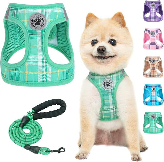 BEAUTYZOO Small Dog Harness and Leash Set,Step in No Chock No Pull Soft Mesh Dog Harnesses Reflective for Extra-Small/Small Medium Puppy Dogs and Cats, Plaid Dog Vest Harness for XS S Pets, Teal XS