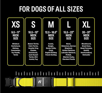Fi Series 3 Smart Dog Collar - GPS Dog Tracker and Activity & Fitness Monitor, Waterproof, LED Light, Escape Alerts, Nationwide Coverage [Free 6 Month Membership] (Blue, X-Large)