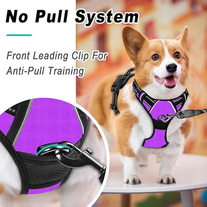 BARKBAY No Pull Dog Harness Large Step in Reflective Dog Harness with Front Clip and Easy Control Handle for Walking Training Running(Purple,L)