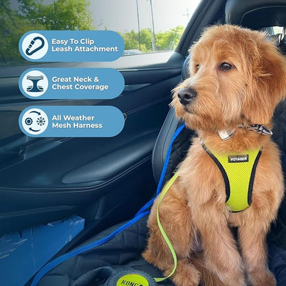 Voyager Step-in Air Dog Harness - All Weather Mesh, Reflective, No Pull Harness for Small, Medium Dogs, Cats - Secure with Hook & Loop Fastener, Buckle, Double D-Rings - Lime Green/Black Trim, XL