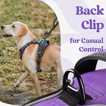 rabbitgoo Dog Harness for Large, No Pull Pet Harness with 3 Buckles, Adjustable Soft Padded Dog Vest with Instant Control Handle, Easy Walking Reflective Pet Vest for Large Dogs, Purple, L