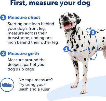 PetSafe Easy Walk No-Pull Dog Harness - The Ultimate Harness to Help Stop Pulling - Take Control & Teach Better Leash Manners - Helps Prevent Pets Pulling on Walks, Small, Apple Green/Gray
