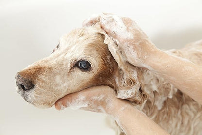 Pet Silk Hypoallergenic Shampoo, Free of Dyes and Fragrances, Specially Designed for Pet's with Sensitive Skin, Infused with Keratin, Achieve a Strong, Healthy & Smooth Coat for Your pet! (16oz)