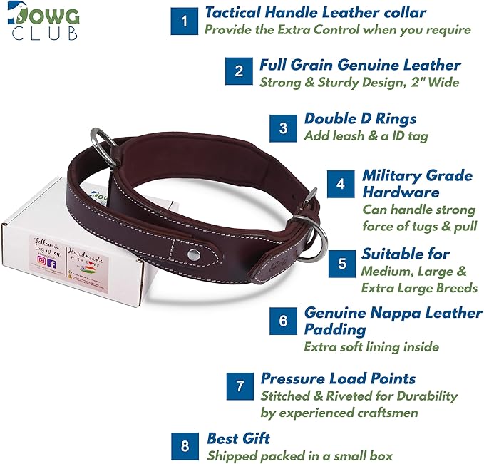 Leather Dog Collar with Handle, 2 Inch Wide Saddle Grade Cherry Leather Dog Collar for Extra Large Dogs | Heavy Duty, Comfortable, Inner Soft Padded | (XL (Fit Neck Size 22"-26"), Cherry)