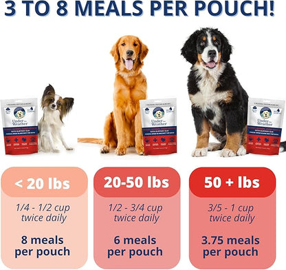 Under the Weather Bland Diet for Dogs | Easy to Digest Stomach Support for Sick Dogs | Contains Electrolytes, All Natural | 6 Pack - Turkey, Oatmeal, Sweet Potato & Slippery Elm for Dogs - 6oz