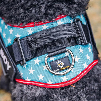 Non Pull Dog Harness with Patch Panels and Handle, Adjustable, Reflective, No Choke, Heavy Duty Easy On Service Dog Vest Harnesses for Medium Large Small Sized Dogs - Motorsport, L