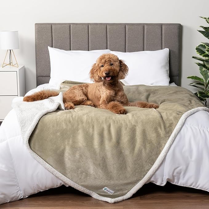 PetAmi WATERPROOF Dog Blanket For Bed, XL Dog Pet Blanket Couch Cover Protection, Sherpa Fleece Leakproof Bed Blanket Throw for Crate Kennel Sofa Furniture Protector, Reversible Soft Plush 80x60 Taupe