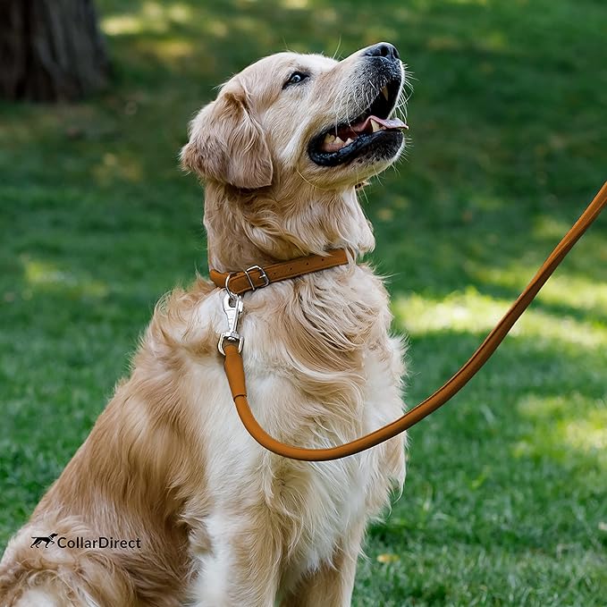 CollarDirect Rolled Leather Dog Collar, Soft Padded Round Puppy Collar, Handmade Genuine Leather Collar Dog Small Large Cat Collars 13 Colors (6-7 Inch, Cinnamon Textured)