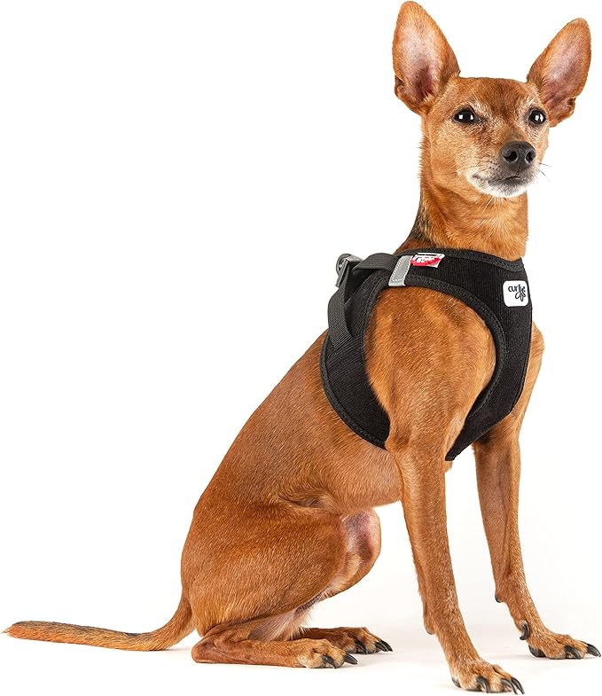 Vest Harness curli Clasp Cord Black L