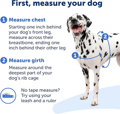 PetSafe Easy Walk No-Pull Dog Harness - The Ultimate Harness to Help Stop Pulling - Take Control & Teach Better Leash Manners - Helps Prevent Pets Pulling on Walks, Large, Charcoal/Black