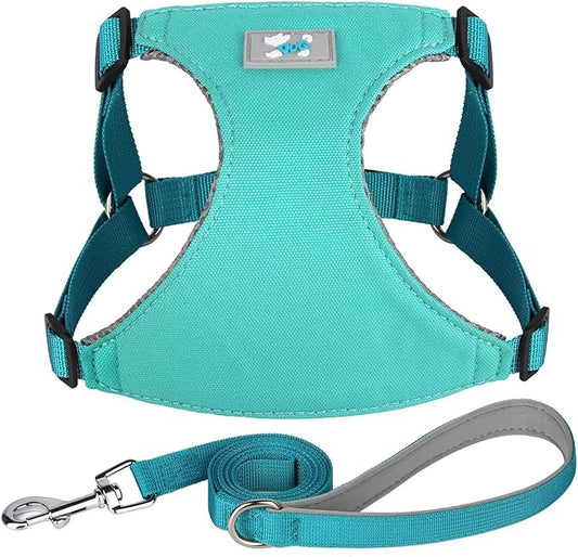 Beirui Small Dog Harness and Leash Set, No Pull Step-in Harness for Puppy, Lightweight Air Mesh Pet Harness for Medium Dogs (Blue, M)