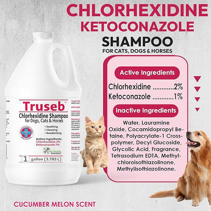 Truseb All Natural Topical Ketoconazole and Chlorhexidine Shampoo for Dogs, Cats & Horses with Aloe Vera Shampoo and Conditioner(Ketoconazole & Chlorhexidine Shampoo, 1 Gallon)