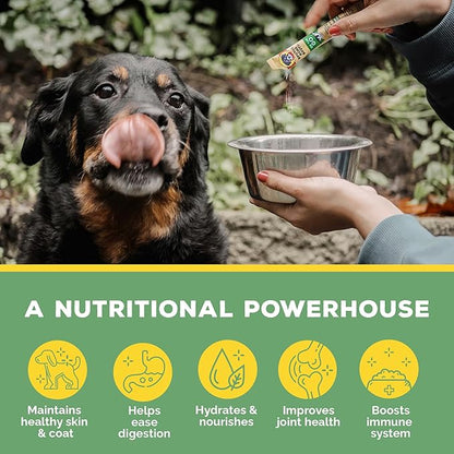 Brutus Bone Broth for Dogs - Bone Broth Powder with Chondroitin Glucosamine & Turmeric - Human Grade Dog Food Toppers for Dry Food & Picky Eaters - 5 Stick (Chicken)
