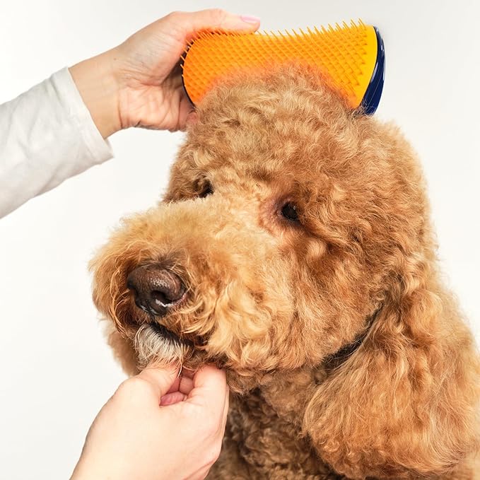 Pet Teezer by Tangle Teezer Detangling Dog Grooming Brush, Dog Bath Brush for Wet or Dry Fur, Navy & Orange