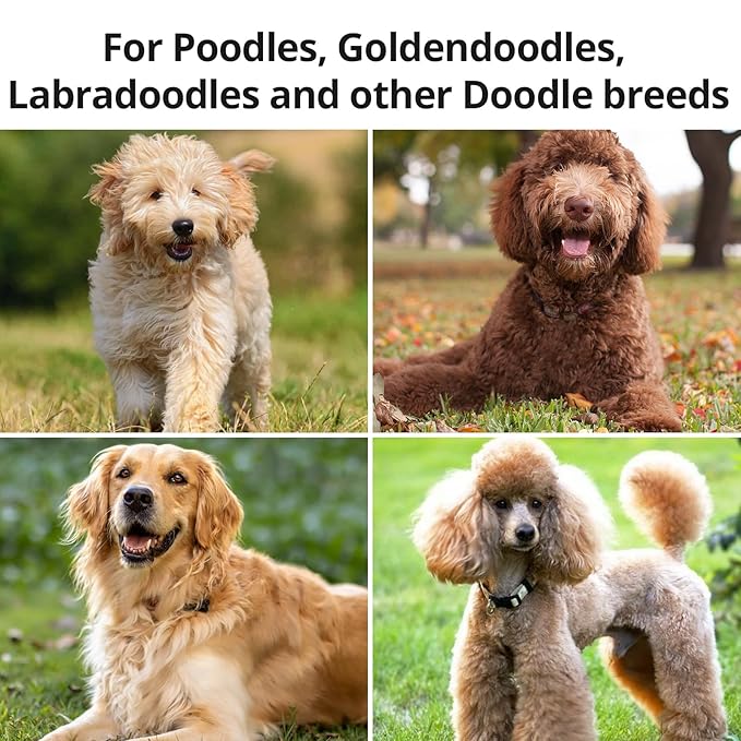 Long Pin Wood Slicker Brush for Dematting & Grooming Long-Haired Poodle & Doodle Breeds for Fluff Detangling & Keeping Mats Free on Poodles, Goldendoodles & Curly Dogs
