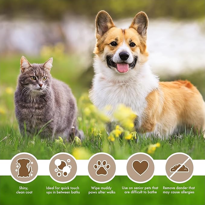 Petkin Mega Valu-Pak Pet Wipes, 500 Total Wipes - Oatmeal Pet Wipes for Dogs and Cats - for Face, Paws, Ears, and Body - Super Convenient Dog Cleaning Wipes, Ideal for Home or Travel - Easy to Use