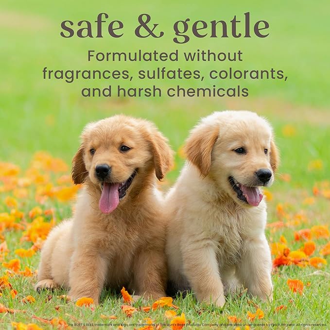 Burt's Bees for Pets Waterless Shampoo Spray for Dogs with Apple and Honey, 99.1% Natural Origin Formulas, Waterless Dog Shampoo - Gentle Dry Shampoo for Dogs, Best Dog Shampoo, 10 oz
