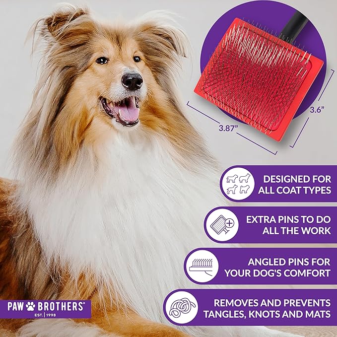 Paw Brothers Big Paw Slicker Brush for Long and Short Haired Dogs - Ideal for Doodles, Goldendoodles, Poodles, Long Pin Grooming