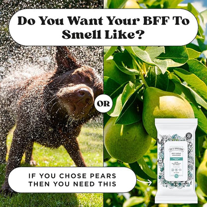 Pet-Pourri Pawsitively Fresh Deodorizing Pet Wipes – Quick Cleaning Wipes for Dogs & Cats – Plant Based Ingredients – Vet Recommended – Cleaner Odor Remover Wipes for Paw, Fur & Skin Soothing