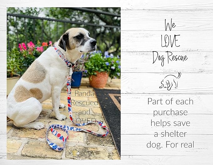 Lucky Love Dog Collars, Strawberry Cute Girl Dog Collar, X-Small Dog Collars for Females, Part of Purchase Donated to Rescue (Extra Small, Sweet Berry, Collar)