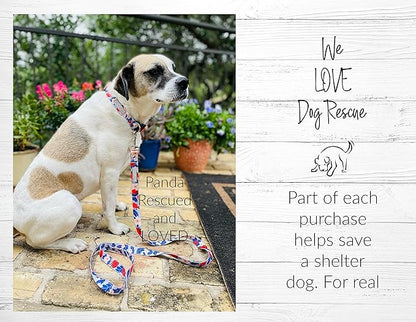 Lucky Love Dog Collars, Strawberry Cute Girl Dog Collar, X-Small Dog Collars for Females, Part of Purchase Donated to Rescue (Extra Small, Sweet Berry, Collar)