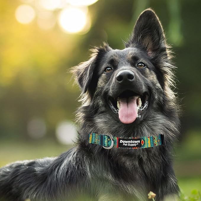 Downtown Pet Supply - Best, Cute & Fancy Dog Collar - Lightweight Adjustable Dog Collar with Quick Buckle & D-Ring - Hand Wash Safe - Tribal - L - Large Dog Collar
