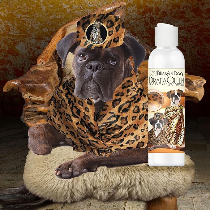 The Blissful Dog Boxer Drama Queen Dog Shampoo, 4 oz.