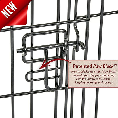 MidWest Homes for Pets Dog Crate Life Stages 36' Double Door Folding Metal Dog Crate | Divider Panel, Floor Protecting Feet, Leak-Proof Dog Pan | 36L x 23W x 25H Inches, Intermediate Dog Breed