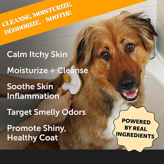 Dog Allergy Relief Seasonal Itch Relief Shampoo for Dogs and Cats - Dog Skin and Coat Supplement, Itch Support for Dogs, Moisturizing and Hydrating Coconut Oil + Vitamin E (16 oz)
