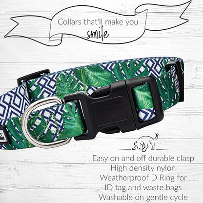 Lucky Love Dog Collar and Leash Set, Beautiful & Vivid Patterns, Easy On & Off Clasp Accessory (Blue Laguna, M Combo)