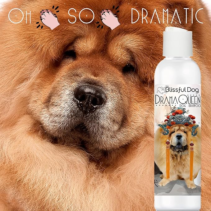 The Blissful Dog Chow Drama Queen Dog Shampoo, 16 oz.