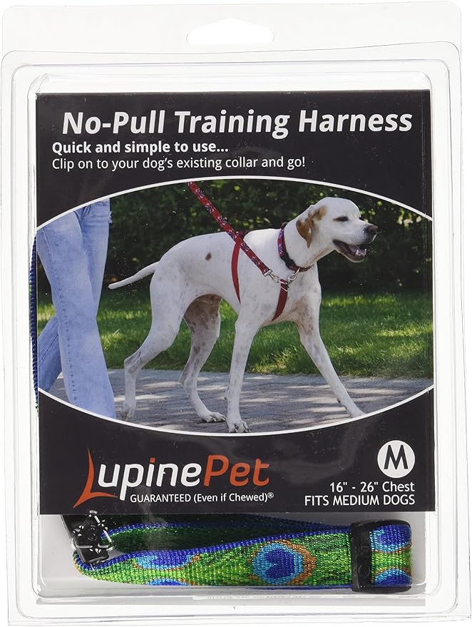 LupinePet Originals 3/4" Tail Feathers 16-26" No Pull Harness for Small-Medium Dogs
