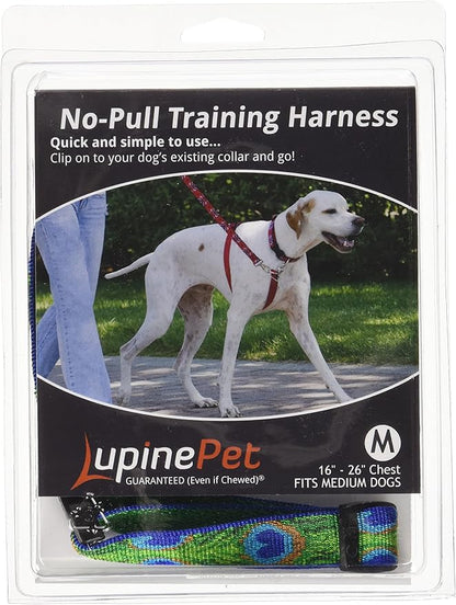 LupinePet Originals 3/4" Tail Feathers 16-26" No Pull Harness for Small-Medium Dogs