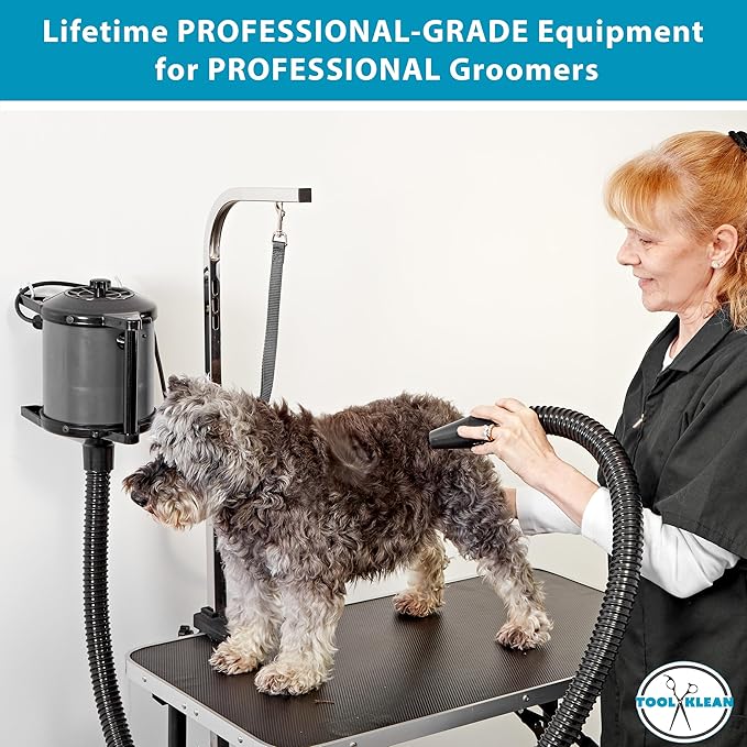 GustyAir Mini Dog Blow Dryer - Professional, Commercial Grade Force Dryer for Groomers - Quiet, High Velocity Air Dryer, Hose Attachments, Variable Speed, No Heating Element - USA Company - Black