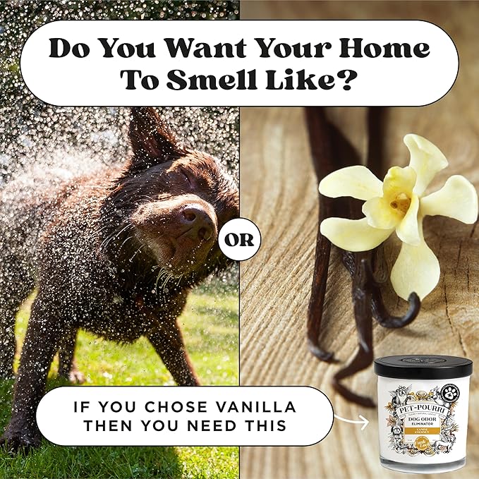 Pet-Pourri Canine Coconut Dog Deodorizer Candle – Puppy & Dog Safe – Plant Based Ingredients & Wax – Vet Approved – Aromatherapy & Air Freshener for Pet Odor – Scented with Coconut, Jasmine & Pear