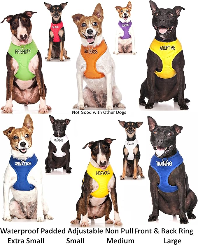 FRIENDLY (Known as Friendly to all) Green Color Coded Non-Pull Front and Back D Ring Padded and Waterproof Vest Dog Harness PREVENTS Accidents By Warning Others Of Your Dog In Advance (L)