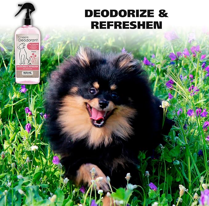 Wahl USA Cornflower Aloe Pet Deodorant Spray for All Dogs & Cats – Clean Fresh Smell Refreshes & Deodorizes – 8 oz - Model 820009A