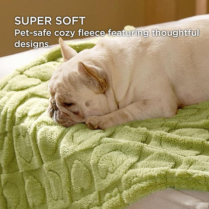 Bedsure Dog Blanket for Medium Dogs Washable - Soft Fluffy Puppy Blanket with Premium 300GSM Coral Fleece, Cozy Calming Cat Blankets for Indoor Cats, Fuzzy Pet Blanket for Kitten Doggy, Green