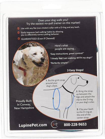 LupinePet Originals 3/4" Wet Paint 16-26" No Pull Harness for Small-Medium Dogs
